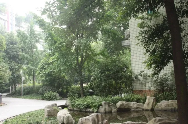 森宇音乐花园2室2厅2卫东北朝向1900.00元/月出租
