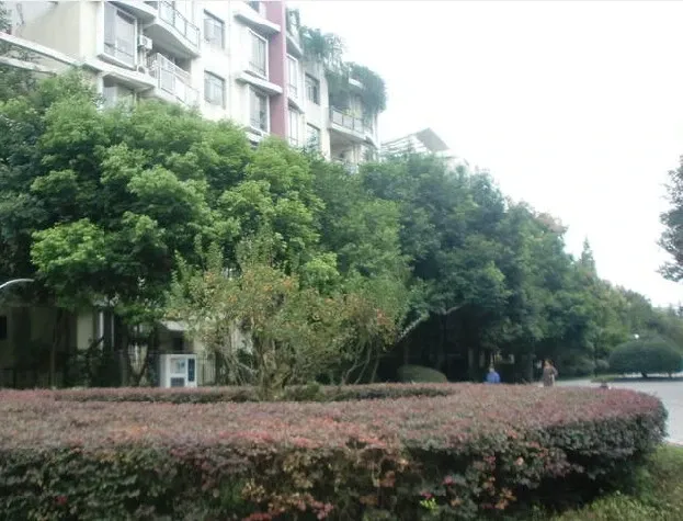 整租·森宇音乐花园 3室2厅 跃层 南