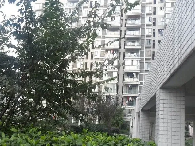 瑞泰锦城2室1厅1卫南朝向2500.00元/月出租