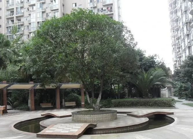 丽景华庭二期1室1厅1卫西北朝向1900.00元/月出租