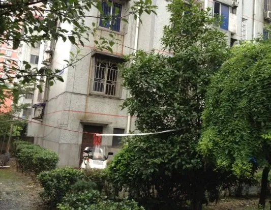 整租·方舟园 3室1厅 南