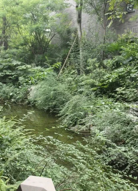 蜀郡一期3室2厅2卫南北朝向3500.00元/月出租