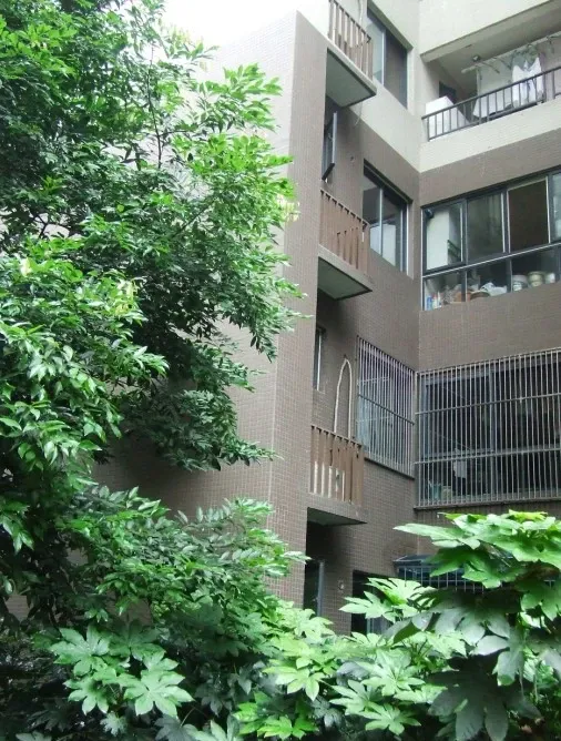 优地B区1室1厅1卫西南朝向2500.00元/月出租