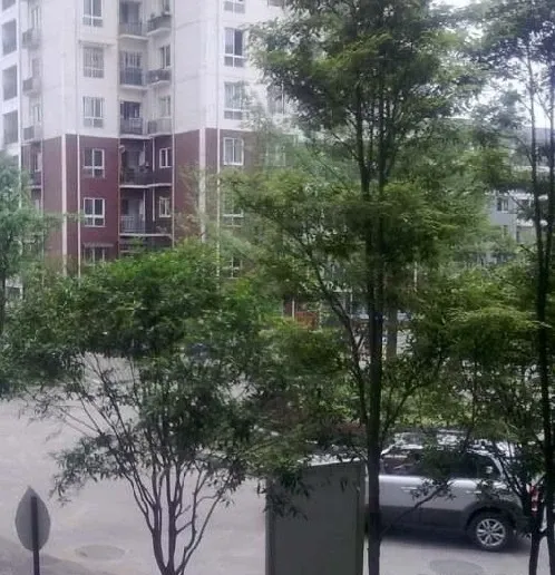 兴堰逸苑2室1厅1卫南朝向1300.00元/月出租