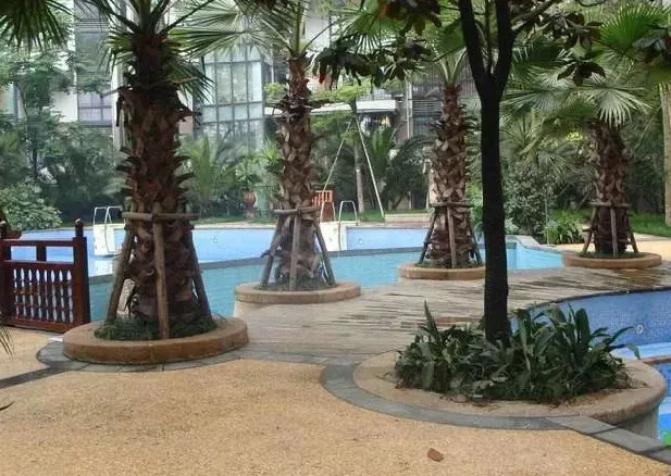 置信丽都花园城(外侧)2室1厅1卫南北朝向1800.00元/月出租