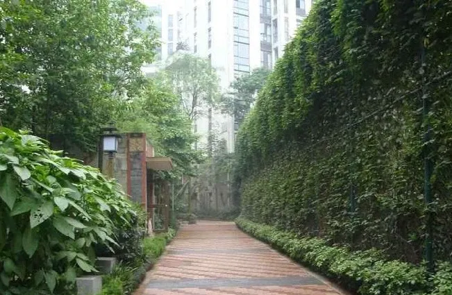 置信丽都花园城(外侧)3室2厅1卫南朝向3200.00元/月出租