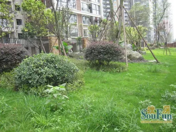 仁和迎宾2室1厅1卫东南朝向1900.00元/月出租