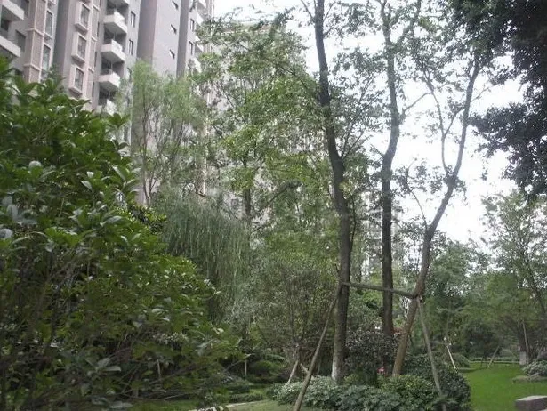 万科朗润园3室2厅1卫东南朝向2200.00元/月出租