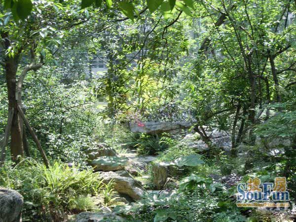 景茂城果2室1厅1卫东西朝向2800.00元/月出租