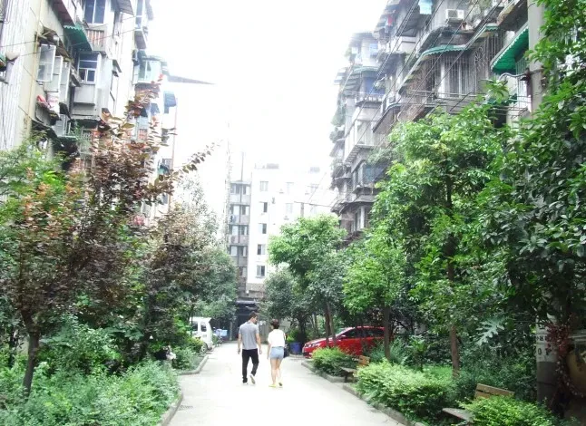 百花西路23号院1室1厅1卫东南朝向1800.00元/月出租