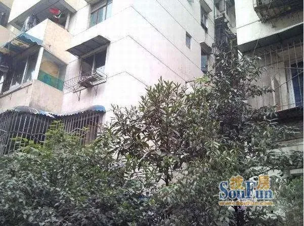 清溪南街19号院2室1厅1卫东南北朝向1600.00元/月出租