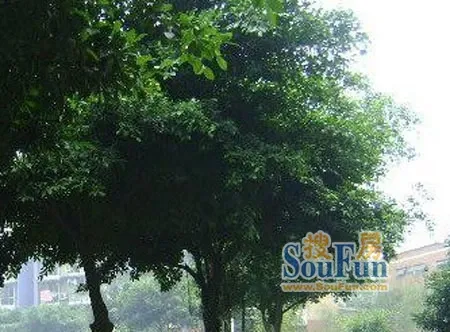 府青路二段18号院2室1厅1卫东南朝向2100.00元/月出租