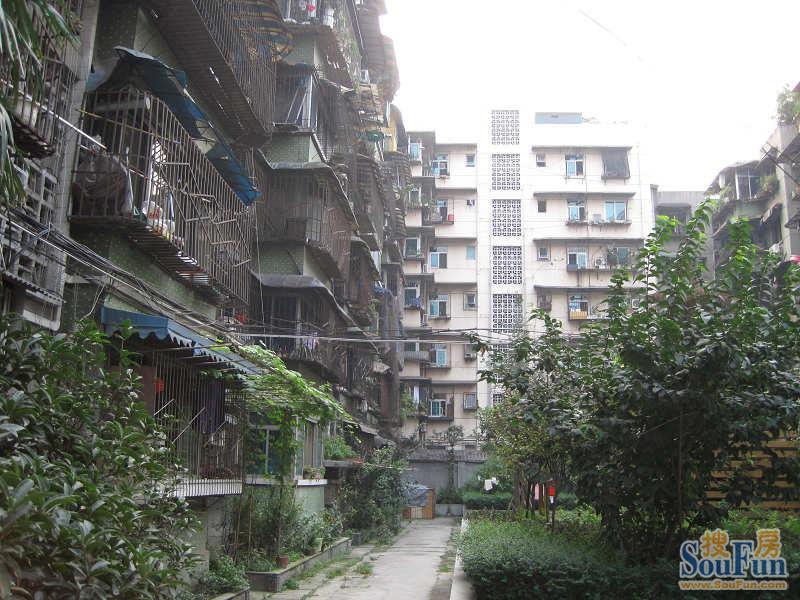 海椒市街7号院2室1厅1卫东朝向1700.00元/月出租