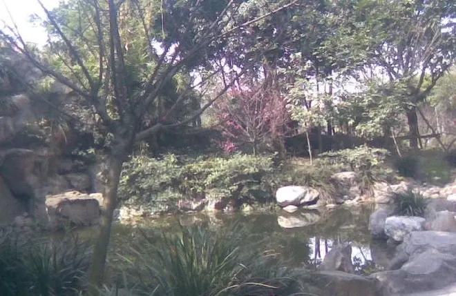 锦江东湖花园2室1厅1卫南朝向2600.00元/月出租