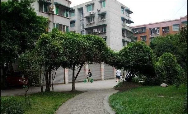 华阳佳苑3室1厅2卫东南朝向2400.00元/月出租