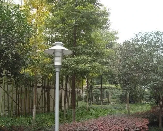 佳禾雅筑2室1厅1卫东南朝向1000.00元/月出租