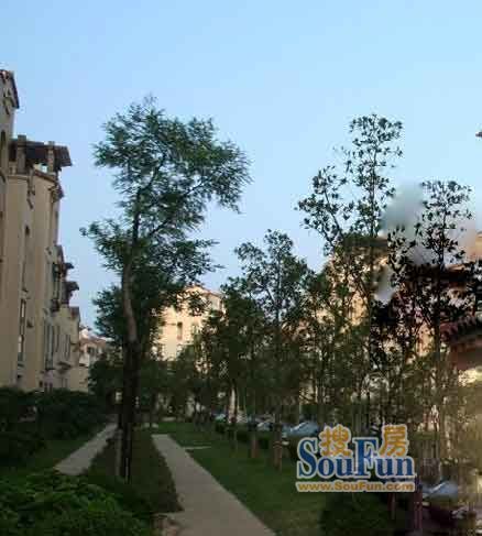 加州印象1室1厅1卫东南朝向1900.00元/月出租