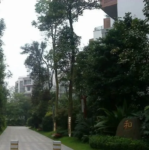 西贵堂4室2厅3卫南北朝向2500.00元/月出租