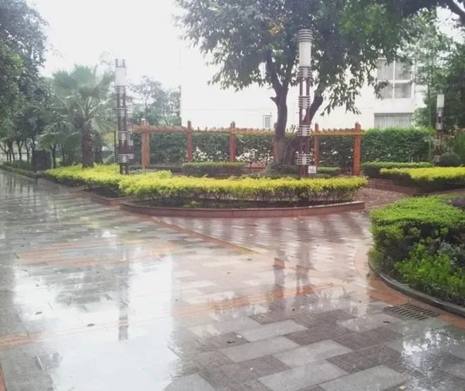 整租·紫坪铺 2室2厅 东南