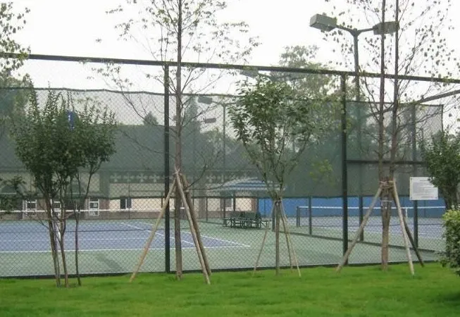 今日田园别墅5室2厅5卫东南朝向2000.00元/月出租