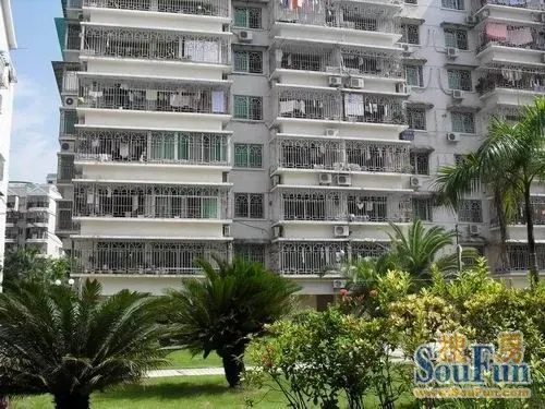 省话剧院单位宿舍3室2厅2卫南北朝向3200.00元/月出租