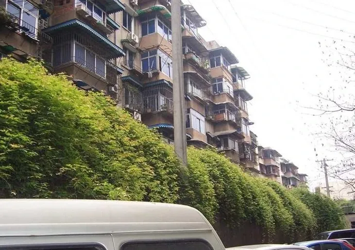 华油路29号院3室1厅1卫西南朝向2050.00元/月出租