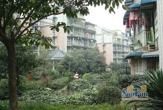 幸福丽景3室1厅1卫南朝向1700.00元/月出租