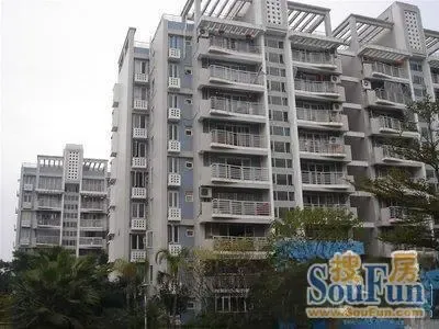 滨江丽景三期美丽园1室1厅1卫南朝向2000.00元/月出租