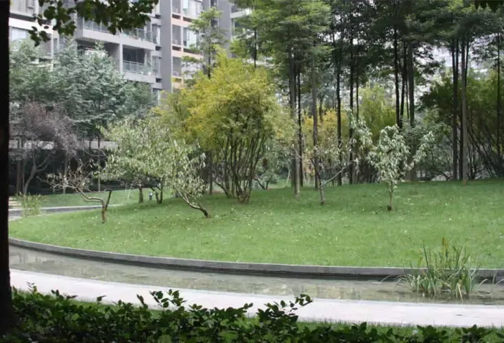 龙湖翠微清波A区3室2厅2卫西南朝向3100.00元/月出租