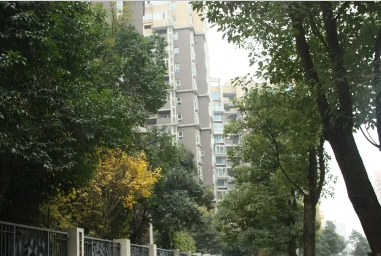 南城都汇汇翠园3室2厅1卫南朝向4000.00元/月出租