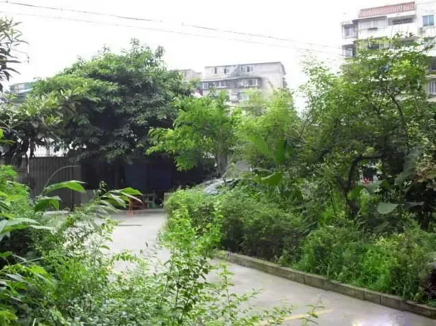 银沙路40号院3室2厅2卫东南朝向2800.00元/月出租