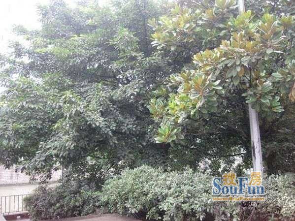 上河居1室2厅1卫东南朝向2100.00元/月出租