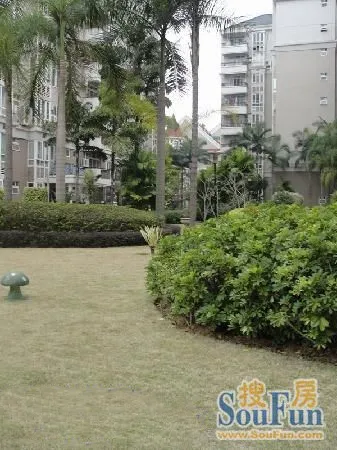 整租·融侨锦江花园A区 3室2厅 南/北