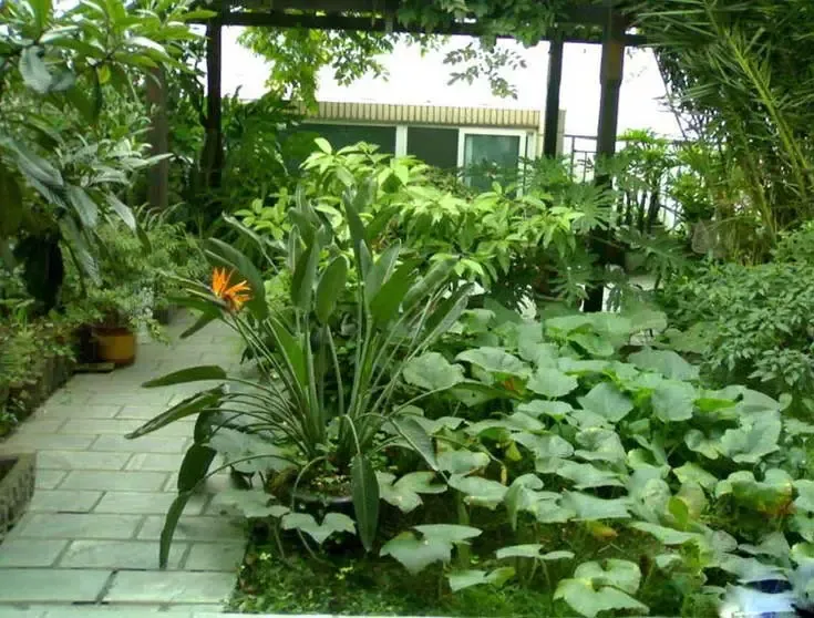 临江路9号院2室1厅1卫南朝向2000.00元/月出租