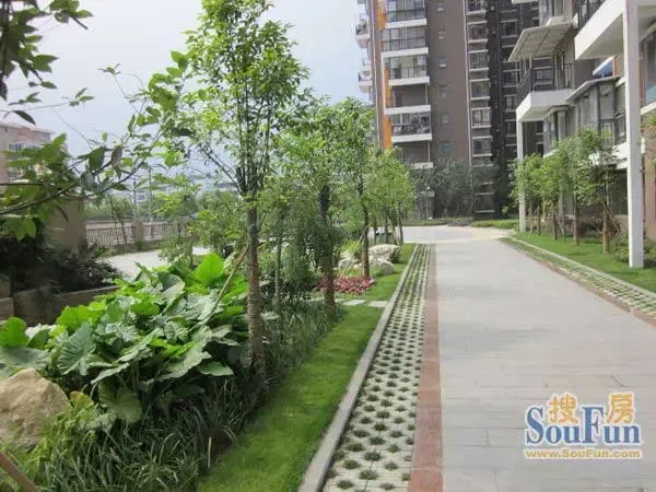 龙锦3室2厅1卫东南朝向1300.00元/月出租