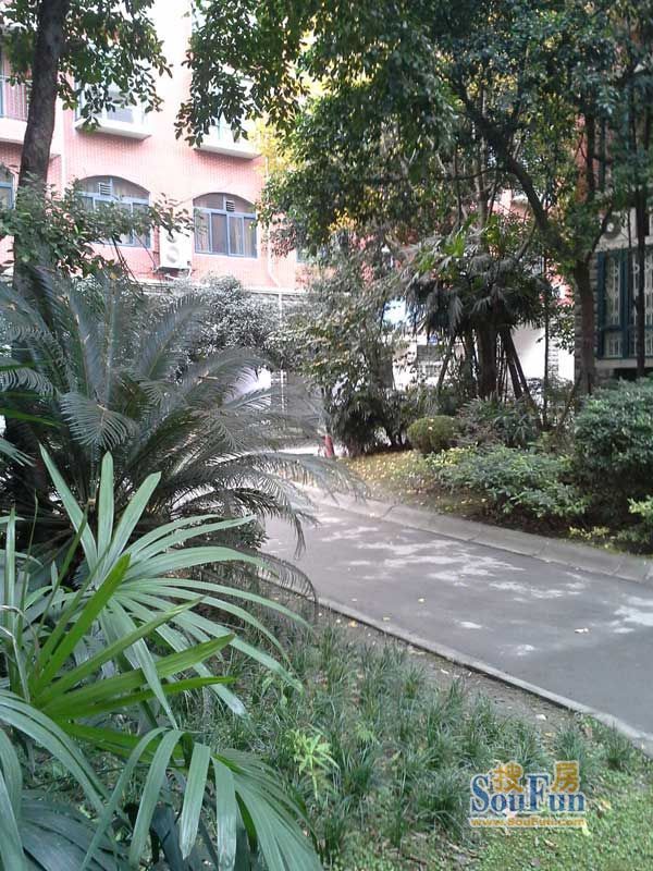 海峡新城4室2厅2卫南朝向1600.00元/月出租