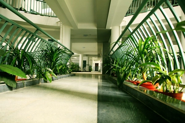 实景图:小区实景（2012.12.17）