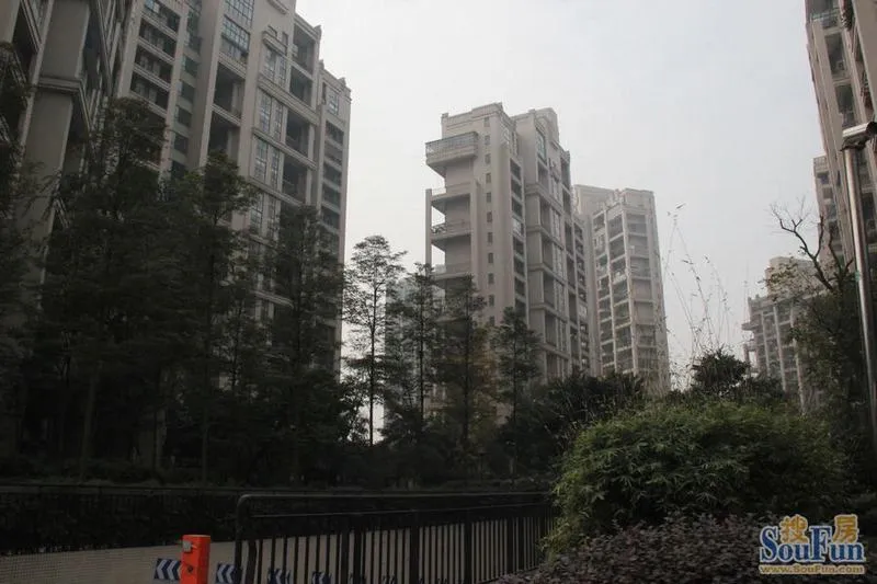 世豪峰景2室2厅1卫南朝向2000.00元/月出租