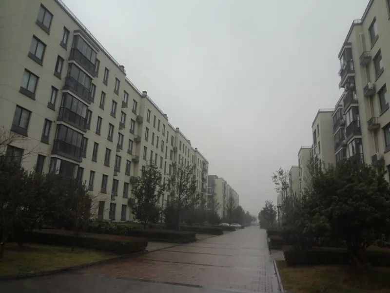 时代文化家园