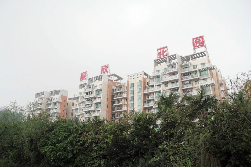 广州顺欣花园园林实景