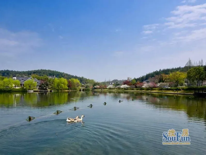 杭州绿城桃花源怎么样 房价增幅查询及房价走