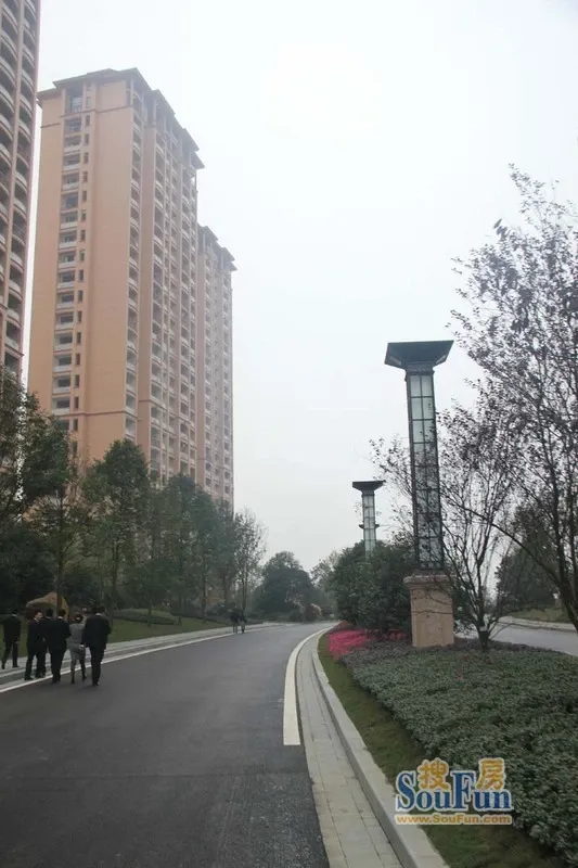 雅居乐铂雅苑4室2厅4卫南北朝向9000.00元/月出租