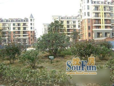 阳光棕榈园3室1厅1卫南北朝向1700.00元/月出租