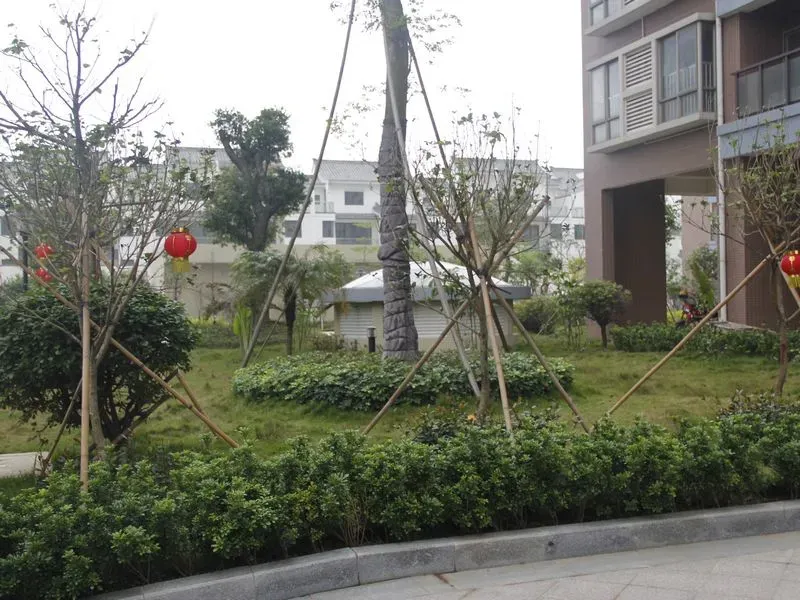 御林翠苑3室2厅1卫南朝向2000.00元/月出租