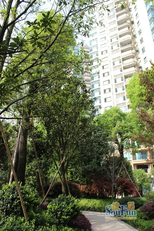 恒大名都1室1厅1卫南朝向1000.00元/月出租