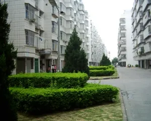 景美小区3室2厅2卫南北朝向1800.00元/月出租