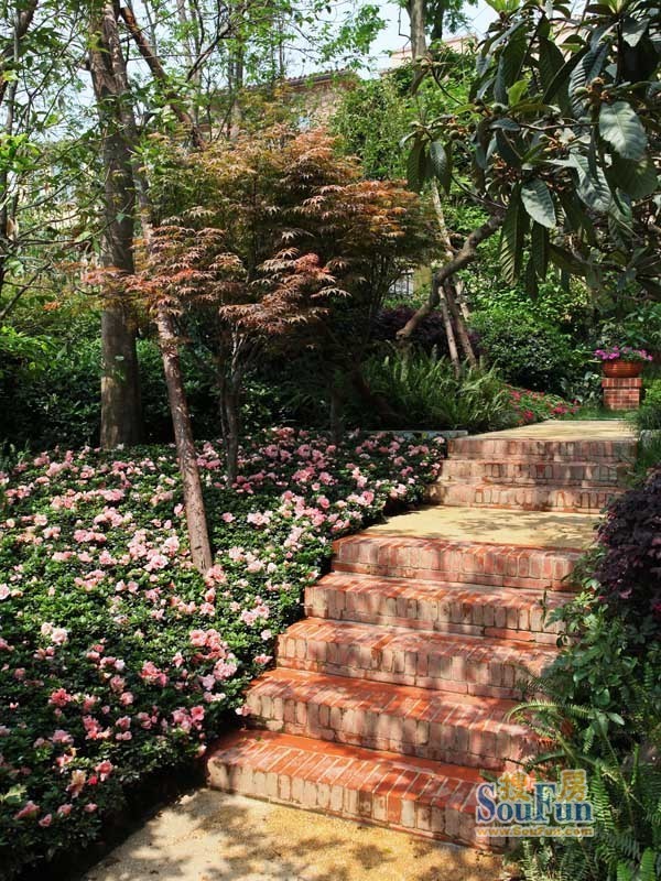 和贵南山上5室2厅3卫西南朝向11000.00元/月出租