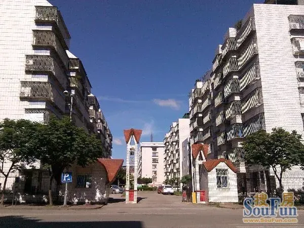 整租·景美小区 4室2厅 南