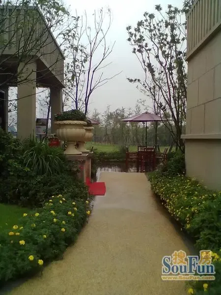 蓝光东方天地2室1厅1卫西南朝向1600.00元/月出租