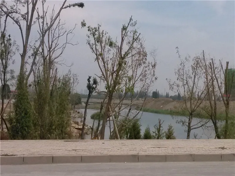 吐槽:高大上的楼盘名 神仙都不敢取啊~-绿地国